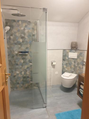a bathroom with a glass shower with a toilet at Haus Guem in Ehrwald