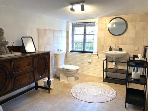 uma casa de banho com um WC, um lavatório e um espelho. em LA PETITE MAISON Fachwerkhaus am Rande des Sauerlandes in Warburg em Warburg