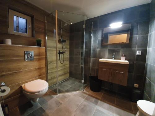 een badkamer met een douche, een toilet en een wastafel bij Stay America in America
