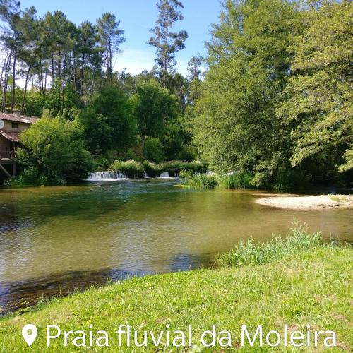 Příroda nedaleko prázdninového domu