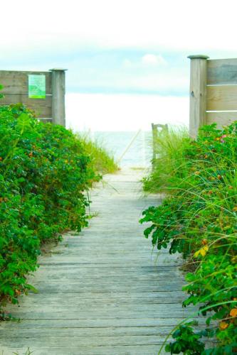 Seashell Motel – Photos 5