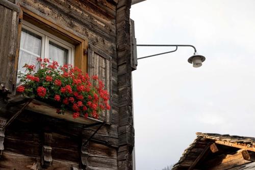 a window with a flower box on the side of a building at Hôtel Bodenhaus in Splügen