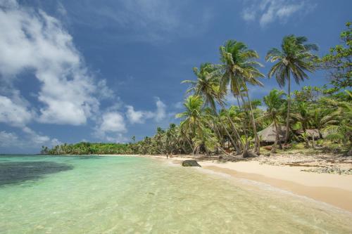 uma praia com palmeiras e o oceano em ENSUEÑOS Natural Reserve Big House em Corn Island