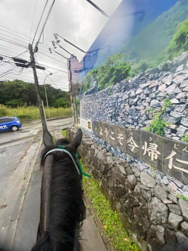 ファームステイの近くで見られる自然の景観