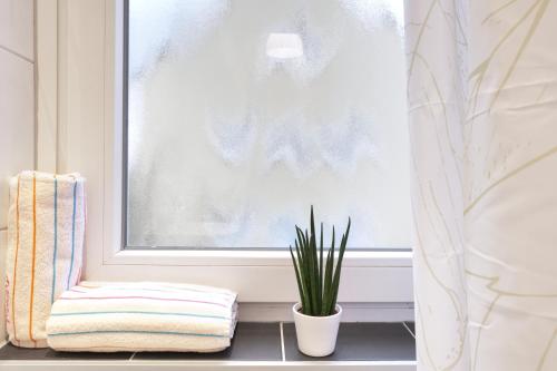 a window with a plant sitting next to a towel at Ferienwohnung Heimaterde in Mülheim an der Ruhr