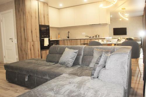 a living room with a couch and a kitchen at Prestige Apartments Berezinka in Dnipro