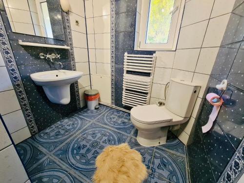 a bathroom with a toilet and a sink and a dog at Apartamenty Willa NaSkarpie Jacuzzi Sauna Basen in Wisła