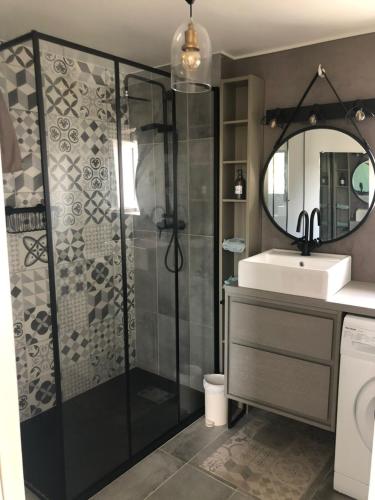 une salle de bain avec une douche, un lavabo et un miroir dans l'établissement CATAMARAN - Duplex Atypique avec Parking, à Vannes