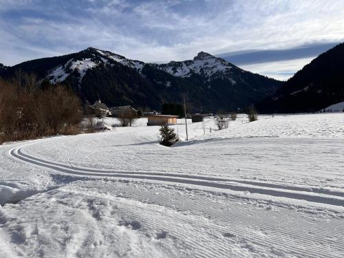 a snow covered road with a mountain in the background at Ferienhaus Gertrud in Nesselwängle