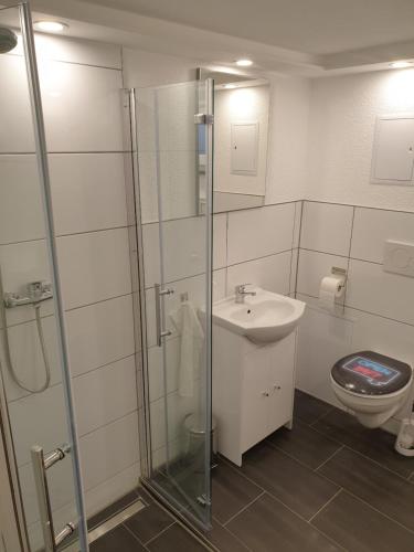 a bathroom with a shower and a sink and a toilet at 2 Zimmer Apartment im UG Schelklingen Biosphärenreservat Schwäbische Alb in Schelklingen