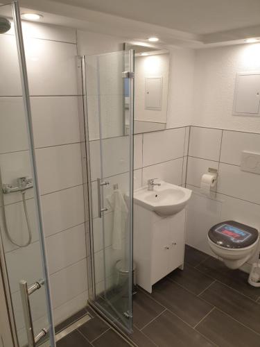 Schelklingenにある2 Zimmer Apartment im UG Schelklingen Biosphärenreservat Schwäbische Albのシャワー、洗面台、トイレ付きのバスルーム