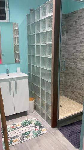 德賽的住宿－BUNG À ZIOTTE，带淋浴和玻璃墙的浴室