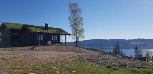 a house with a grass roof on top of a hill at Mjøshytte in Stange