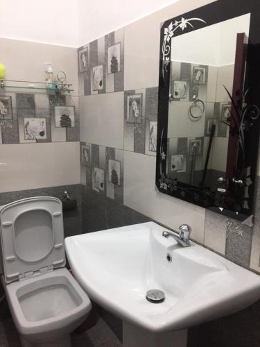 ein Badezimmer mit Waschbecken, Toilette und Spiegel in der Unterkunft New Toropi Homestay in Gadaladeniya