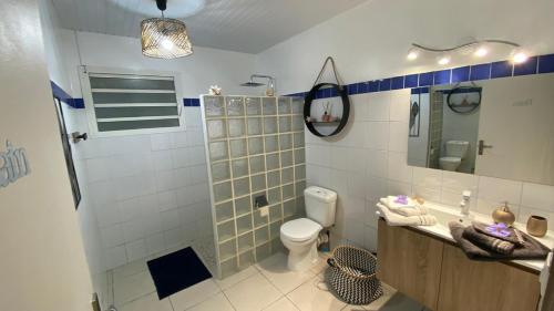 ein Bad mit einer Dusche, einem WC und einem Waschbecken in der Unterkunft MAJO BEACH in Saint-Pierre