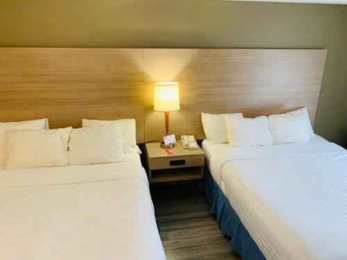 a hotel room with two beds and a table with a lamp at Econo Lodge Airport Quebec in Quebec City