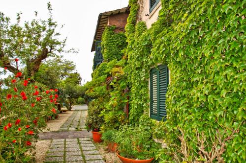 Κήπος έξω από το Hotel La Culla Del Lago