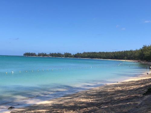 a beach with a bunch of birds in the water at Superbe apt 2 chambres Mont Choisy Beach by Lov in Mont Choisy