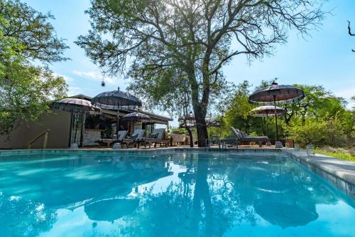 una piscina con agua azul y sombrillas en Safari Moon Luxury Bush Lodge en Hoedspruit