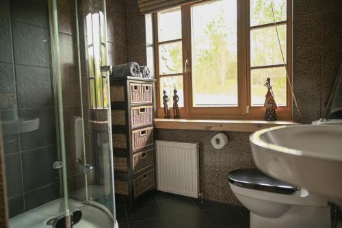 A bathroom at Spacious house with stunning views and sauna in Amatciems
