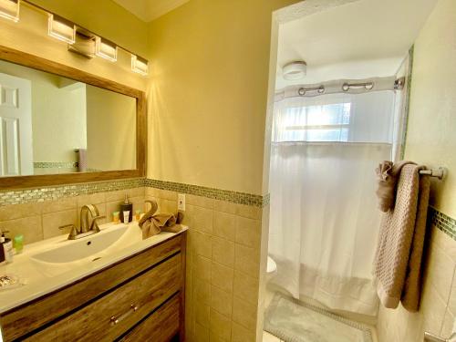 ein Badezimmer mit Dusche und Waschbecken in der Unterkunft Deluxe waterfront one bedroom apartment with Miami Skyline view, free parking 5 mins drive to Miami Beach in Miami Beach
