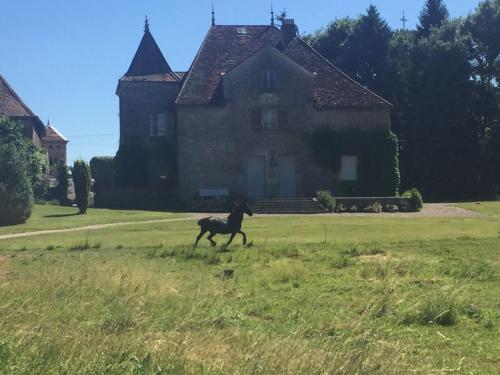 um cavalo correndo em um campo em frente a uma casa em au château em Miserey-Salines