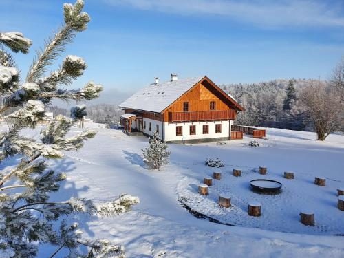 an aerial view of a house in the snow at Penzion Stříbrník in Krásná