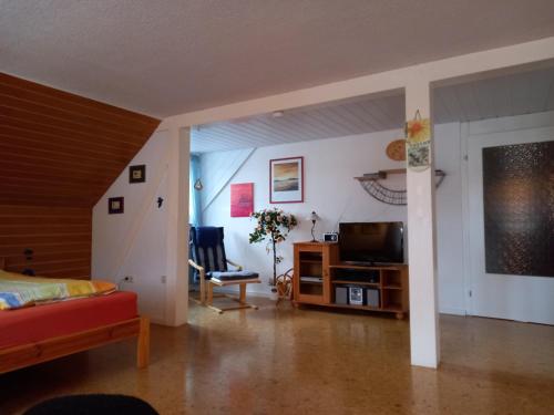 ein Wohnzimmer mit einem Bett und einem TV in der Unterkunft Ferienwohnung Agnes in Nonnweiler