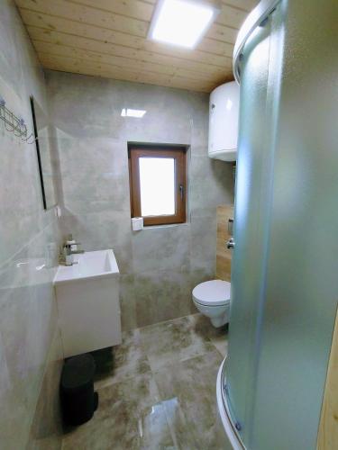 a bathroom with a toilet and a sink and a window at Bieszczadzkie domki z widokiem 793-903-243 in Bukowiec