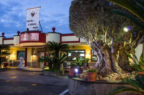 cupido park – Photos 3