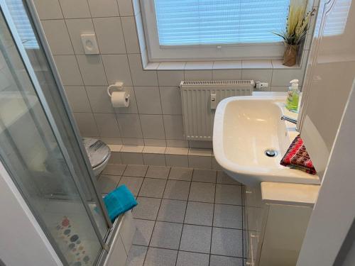 a bathroom with a sink and a shower at Möwe Willi in Flensburg