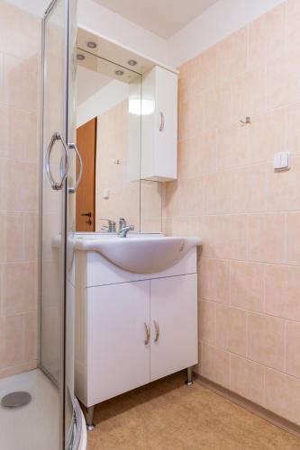 a bathroom with a sink and a mirror at Penzion Sykovec in Tři Studně