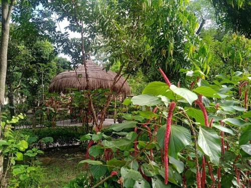a garden with a straw hut in the trees at Crocodile Safari Camp in Chitwan