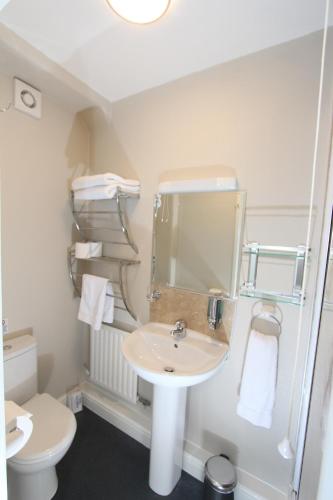 a bathroom with a sink and a toilet and a mirror at Fern Howe Guest House in Keswick