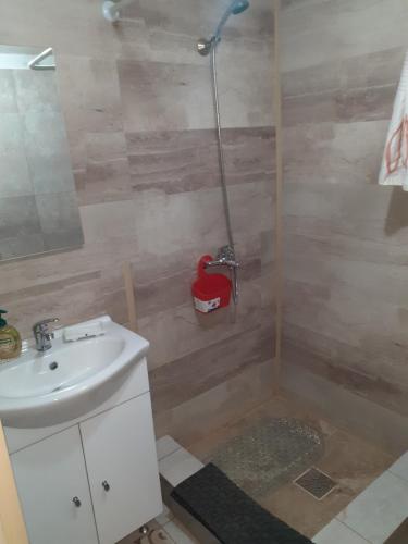 ein Bad mit einem Waschbecken und einer Dusche in der Unterkunft Casa Denis in Turda