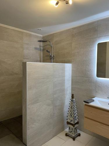 une salle de bain avec douche et lavabo dans l'établissement Monpazier Gite, à Monpazier