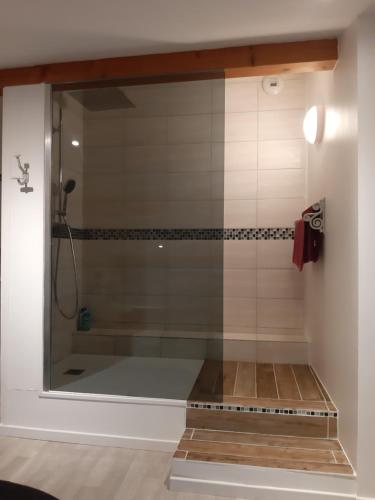 une douche avec une porte vitrée dans une salle de bain dans l'établissement Appartement T2 au cœur du village, à Cléon-dʼAndran
