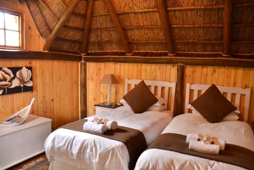 two beds in a room with wooden walls at Gecko Cottage Guesthouse in Prieska
