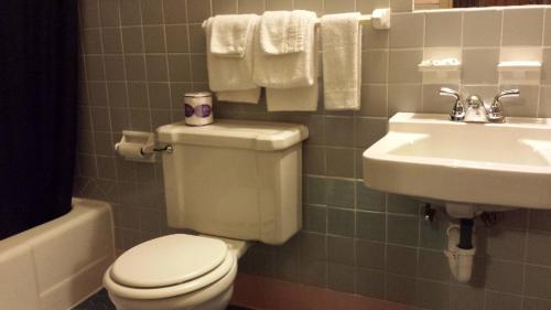 Vonios kambarys apgyvendinimo įstaigoje Texas Inn Motel