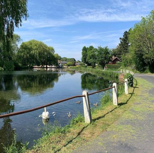 een rivier met eenden die in het water zwemmen bij The Richmond Arms Rooms in Funtington