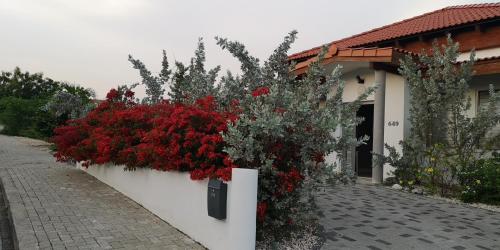 Un jardín fuera de Group & Family House Galant Curaçao
