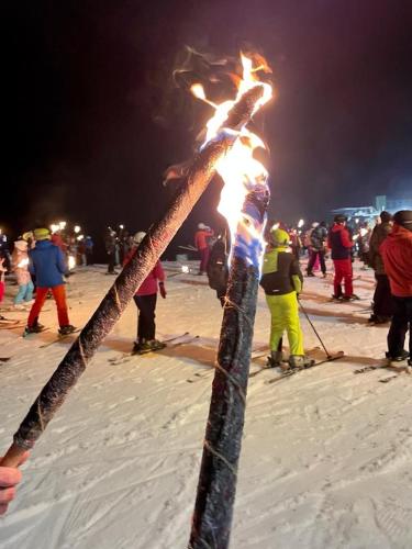 a person on skis holding a pole in the snow at Apartament Muszyna in Muszyna