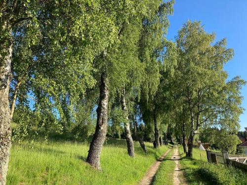 a dirt road lined with trees on a field at Bühnenwirtshaus Juster in Gutenbrunn