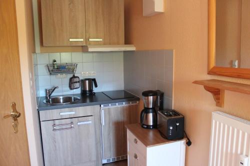 een kleine keuken met een wastafel en een magnetron bij Zum Kranichblick FeWo 1&2 in Niepars