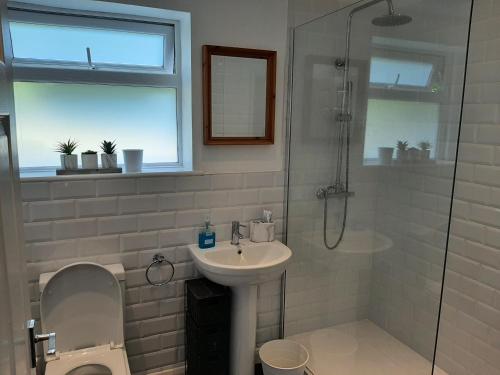 a bathroom with a sink and a shower and a toilet at Quintessential, secluded South Devon cottage in Plymouth