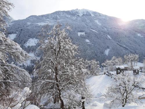 a view of a snow covered mountain with trees at Ferienwohnung Anna Zechner in Flattach