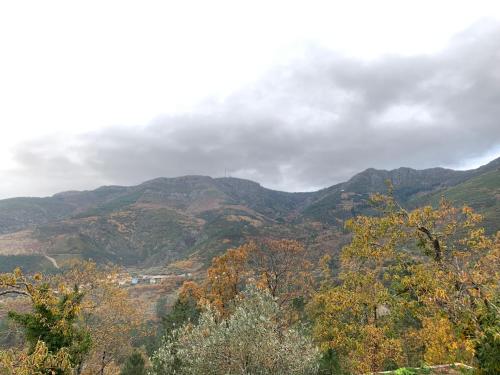 a view of auliculiculiculiculiculiculiculiculiculiculiculic at Casa do Julien Mountain Experience in Vila Real