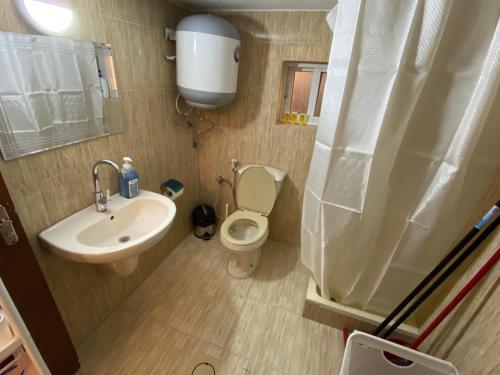 a small bathroom with a toilet and a sink at Horses House in Kerak