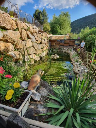 Φωτογραφία από το άλμπουμ του Camping Bellevue σε Ria