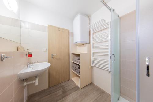 ein Bad mit einem Waschbecken und einer Dusche in der Unterkunft Apartmány Sophia 5 a 6 in Velké Losiny